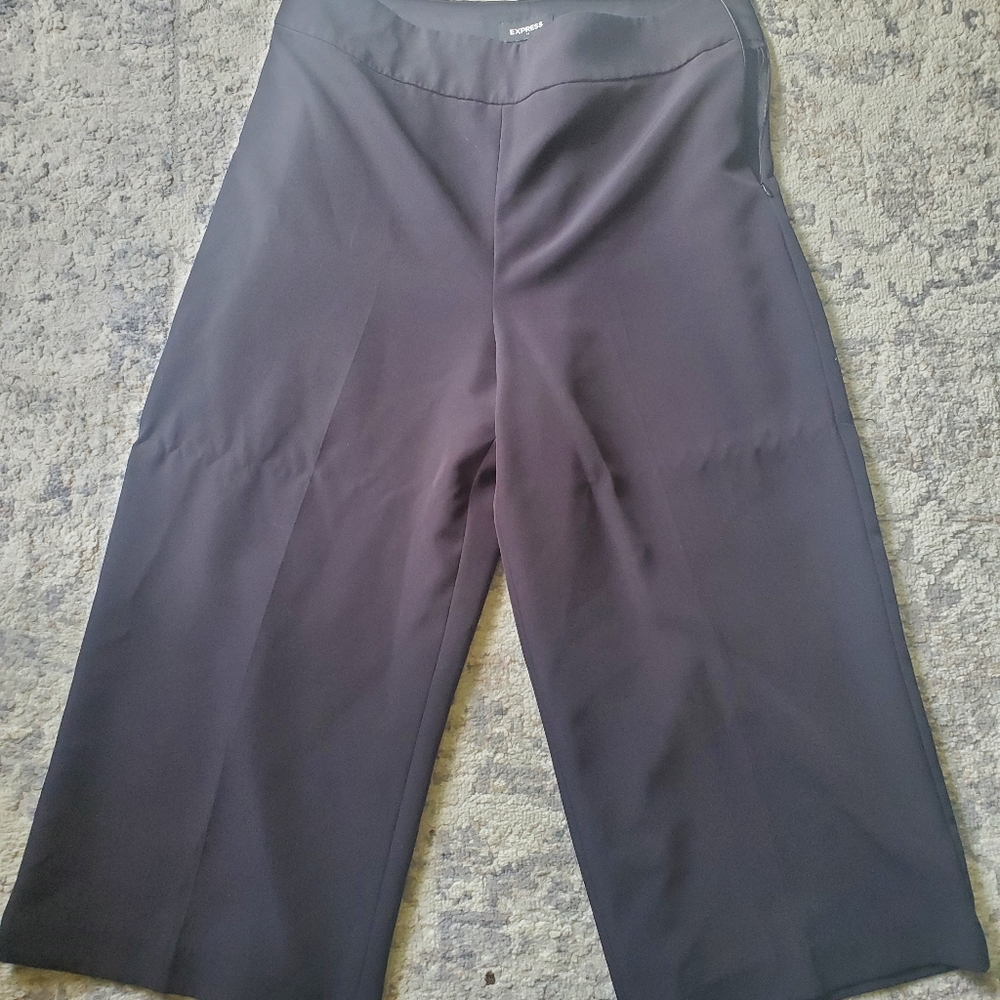 Express black size 14 Culottes